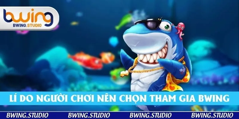 Diễn giải lí do người chơi nên chọn tham gia Bwing Diễn giải lí do người chơi nên chọn tham gia Bwing
