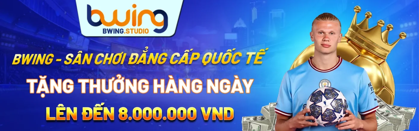 Banner Bwing