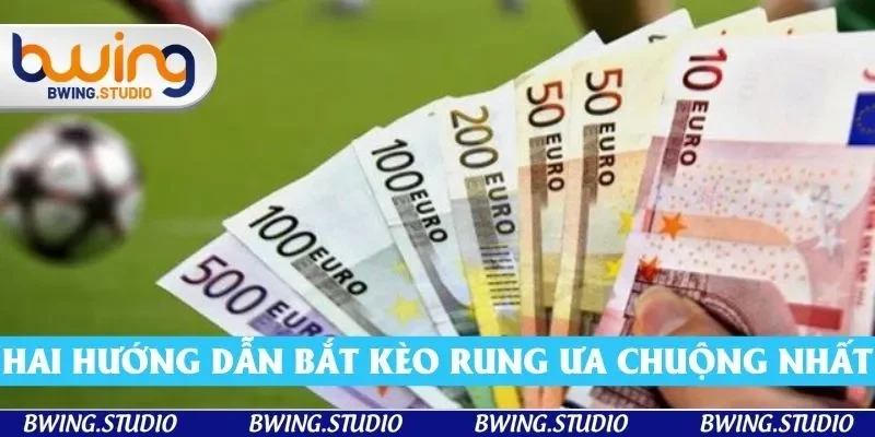 Hai hướng dẫn bắt kèo rung ưa chuộng nhất Hai hướng dẫn bắt kèo rung ưa chuộng nhất