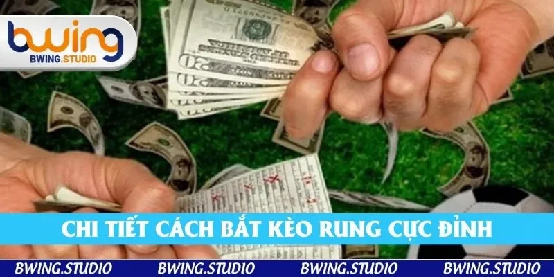 Chi tiết cách bắt kèo rung cực đỉnh Chi tiết cách bắt kèo rung cực đỉnh