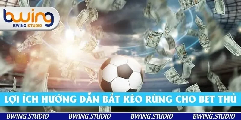 Lợi ích hướng dẫn bắt kèo rùng cho bet thủ Lợi ích hướng dẫn bắt kèo rùng cho bet thủ